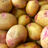 Batata Branca Nova 20Kg