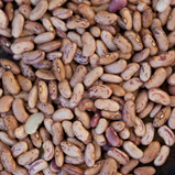 Feijão Catarino pac500gr