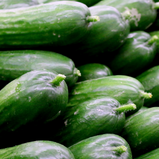 Pepino unidade