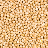 Grão de Bico pac500gr