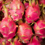 Pitaya unidade