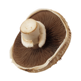 Cogumelo Portobello pac200gr